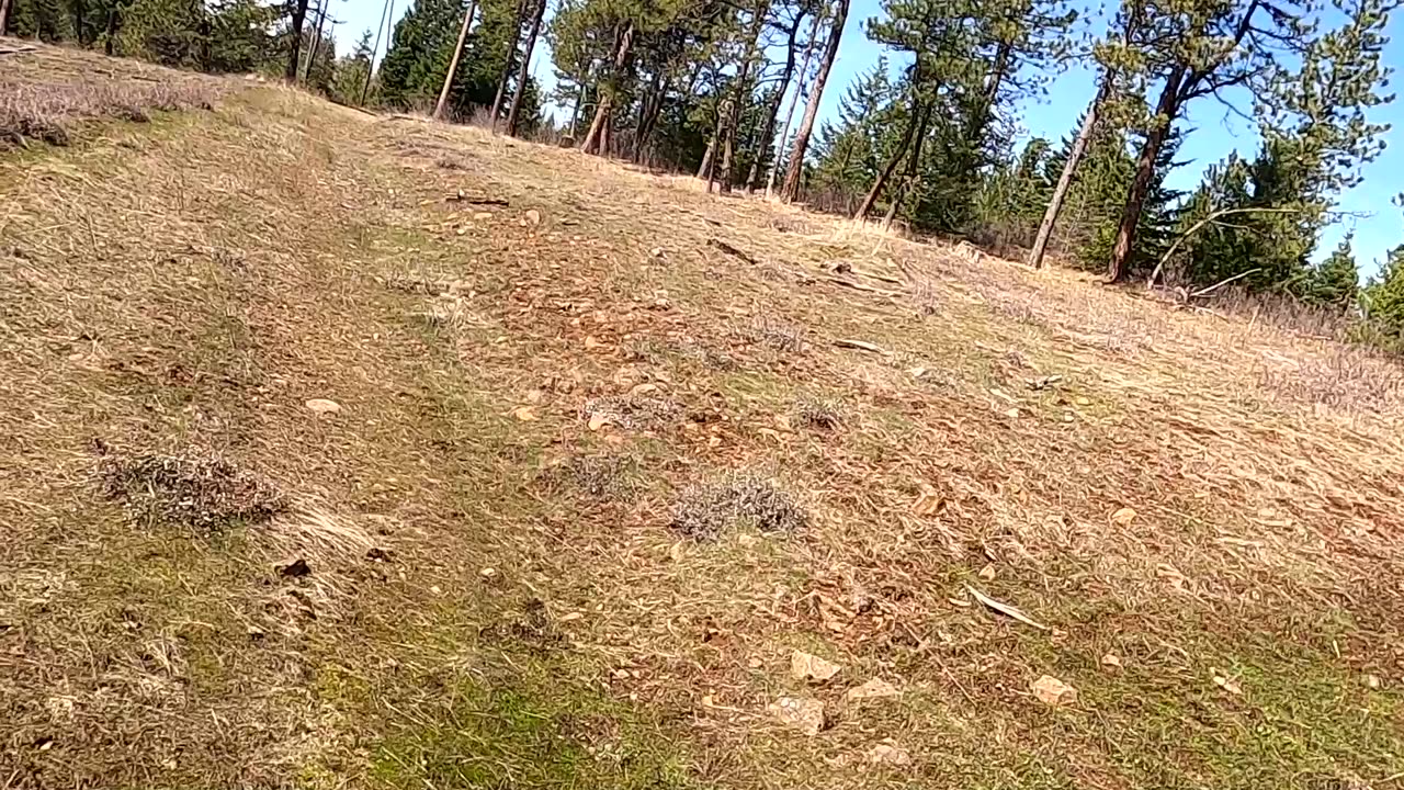 Apr. 6, 2025 Turkey Scouting Trip.