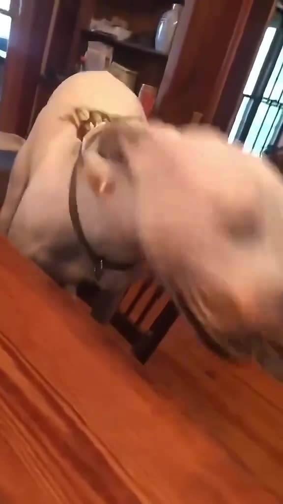 THIEVERY TUESDAY 9/2/25