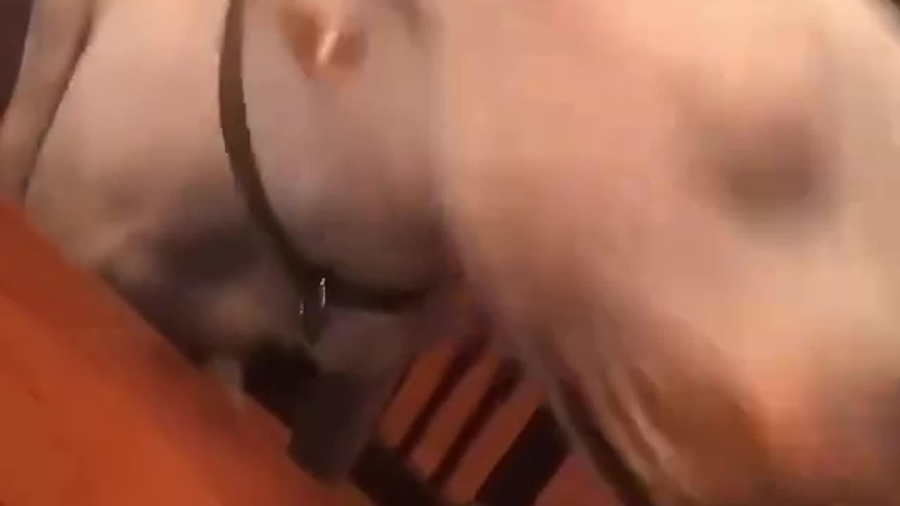 THIEVERY TUESDAY 9/2/25