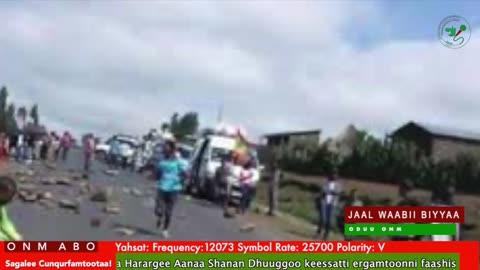 Oduu Ganama ONM-ABO Hagayya 29-2025 itti dhiyaadhaa!