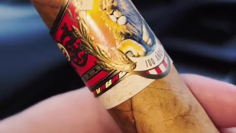 19-Year-Old Cigar: Treasure or Tragedy? #CigarLife #NewYear