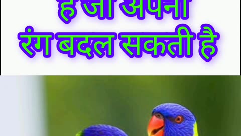 ऐसी कौन सी पक्षी है जो अपना रंग बदल सकती है। GK Questions || GK in Hindi || GK answer || #gk #shorts