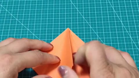 How to Fold an Origami Turtle