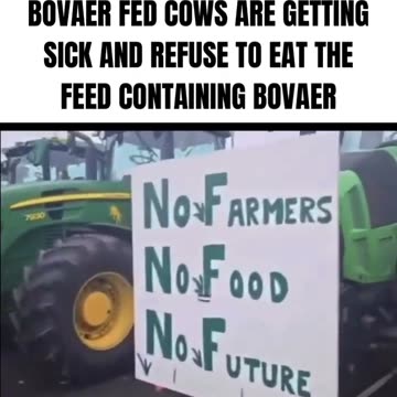 Danish Farmers report that Bovaer Fed Cows are getting sick