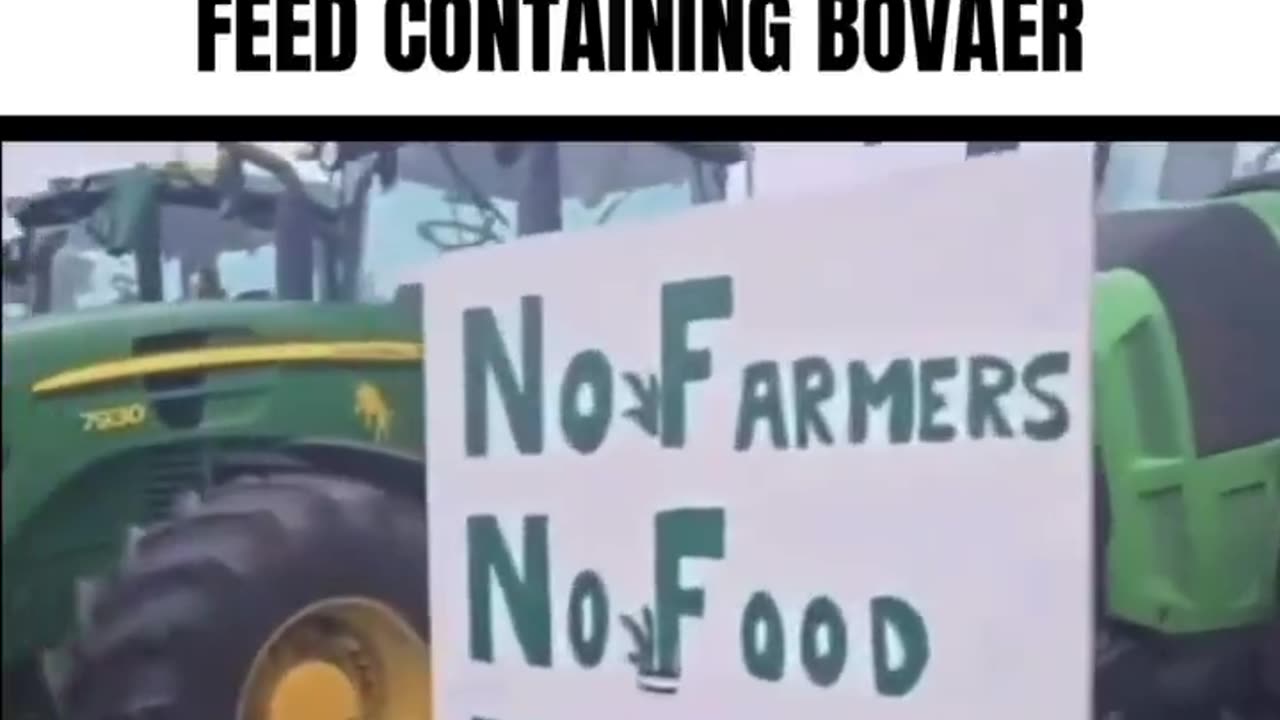 Danish Farmers report that Bovaer Fed Cows are getting sick