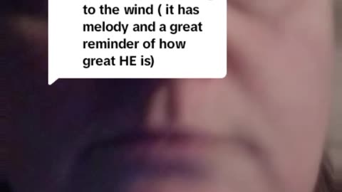 The Owl And The Pigeon