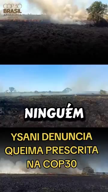 YSANI denuncia queima prescrita na cop30