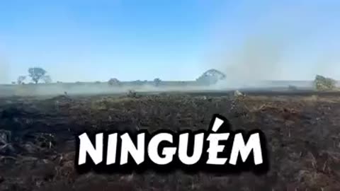 YSANI denuncia queima prescrita na cop30