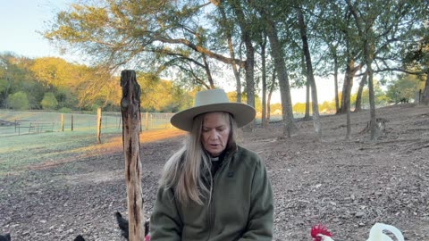 MOrning Prayer, Daily Office