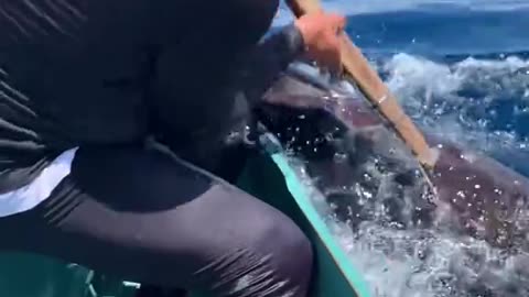 Catch or Crash: Tight Lines in Rough Waters