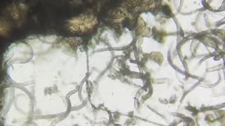 Imagine watching this video while biting your nails