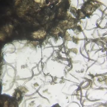 Imagine watching this video while biting your nails