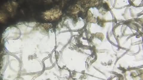 Imagine watching this video while biting your nails