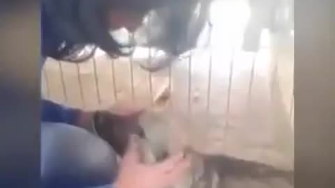 Poor Fella