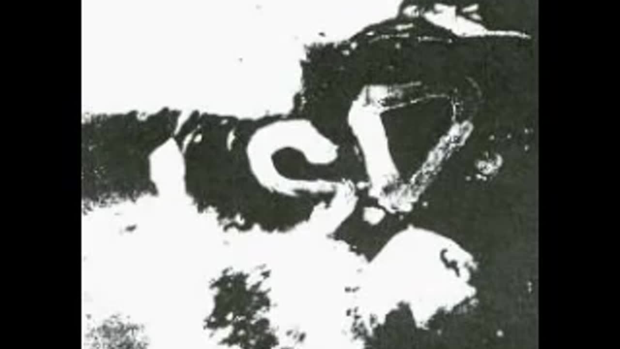 L.S.D. - Destroy EP 1983