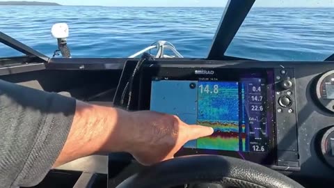 We Hunt For Pearl Perch North of Cape Moreton_part5