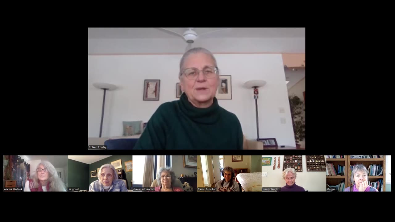 Whose Rules? Who Rules? New View with Coleen Rowley explores what happens when "the law" is illegal.