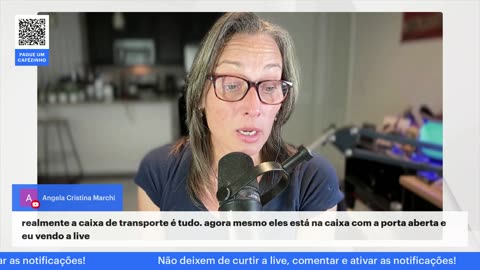 Cães da mesma casa que brigam: como resolver - Edição 2025.