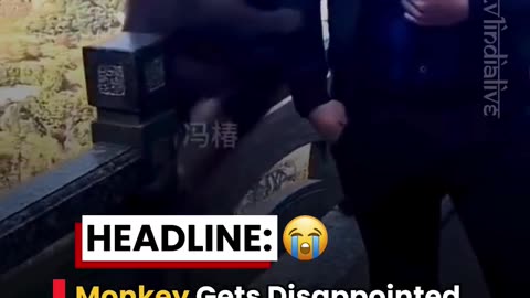 😂👻 The Funniest Way to Scare a Tourist! | FunFM