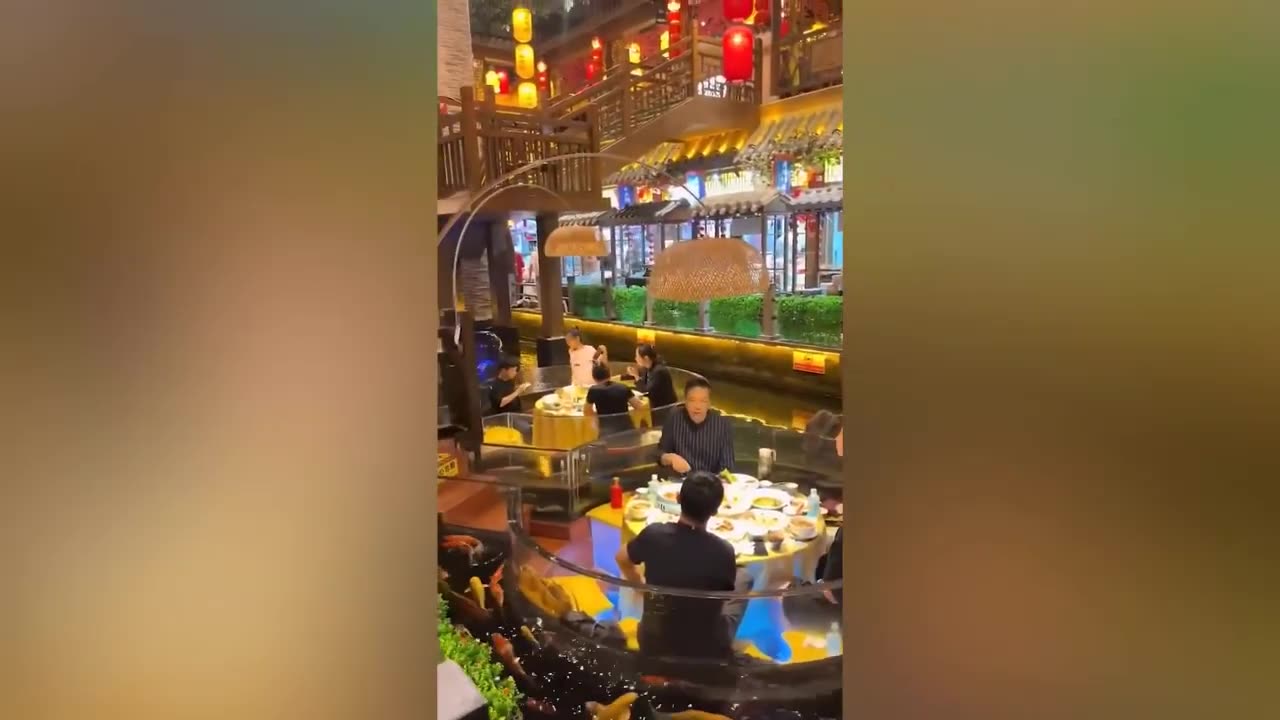 Funny People Doing Funny Things 🤡😂🎬