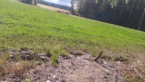 Pari autiota mummonmökkiä matkan varrella