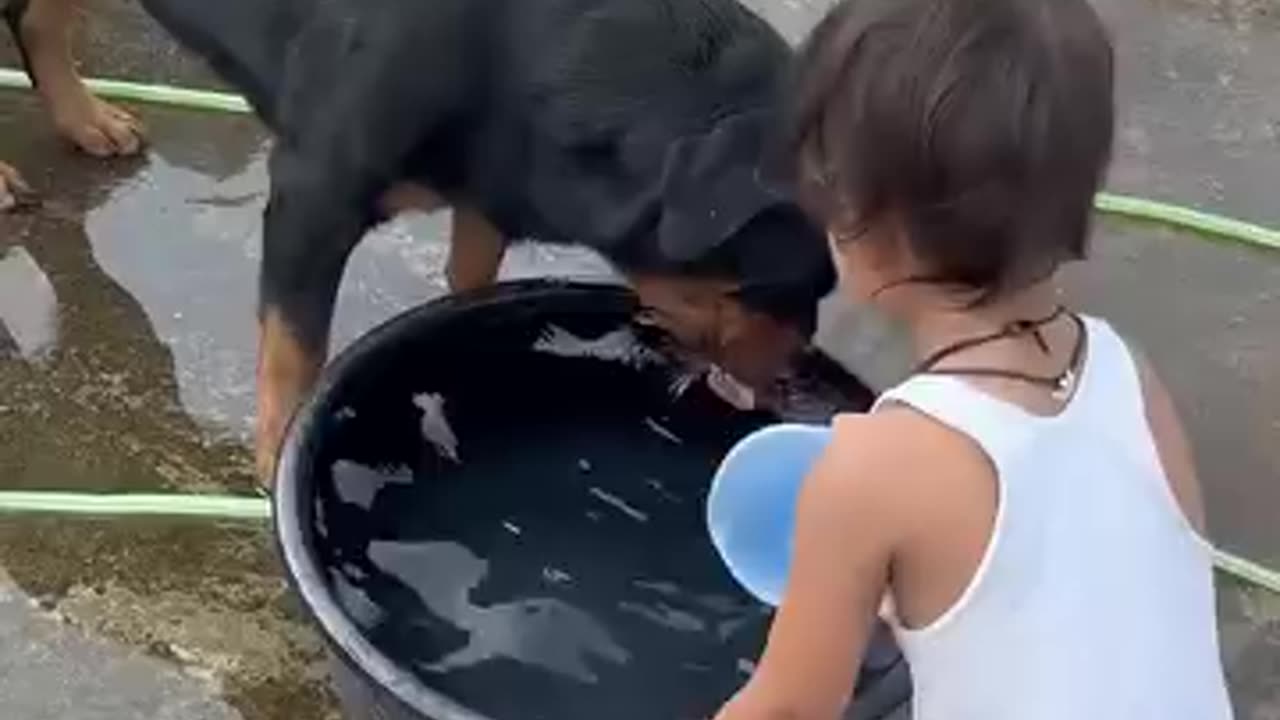 Cute