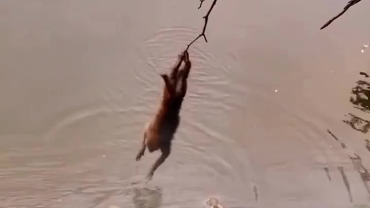 there is no fear at all