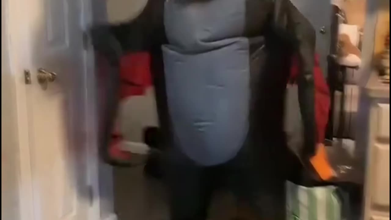 Dog's new home design for watching this video