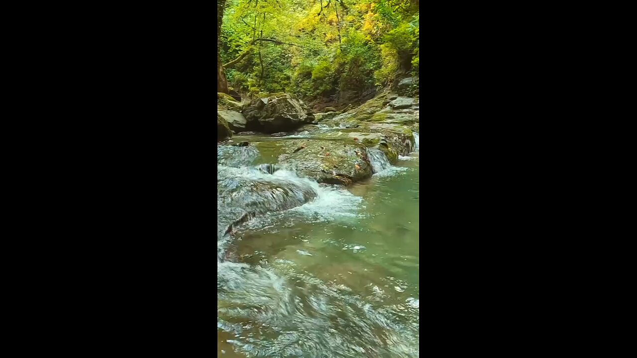 nature réele green dream