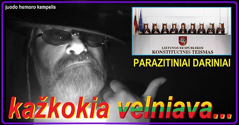 Kur dingo citata?