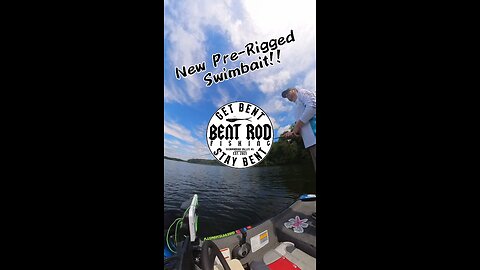 New Swimbait!