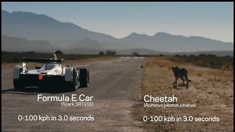 Formula E Car vs Cheeta 1 Million views