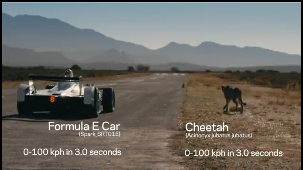 Formula E Car vs Cheeta 1 Million views