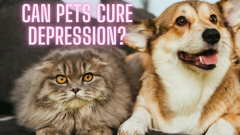 How Pets Help With Depression | AMZG Animals