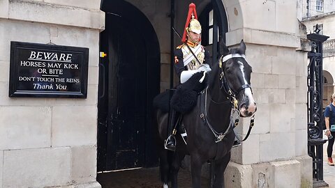 King's guard