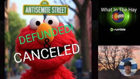 The END of PUBLIC MEDIA? PBS & NPR DEFUNDED