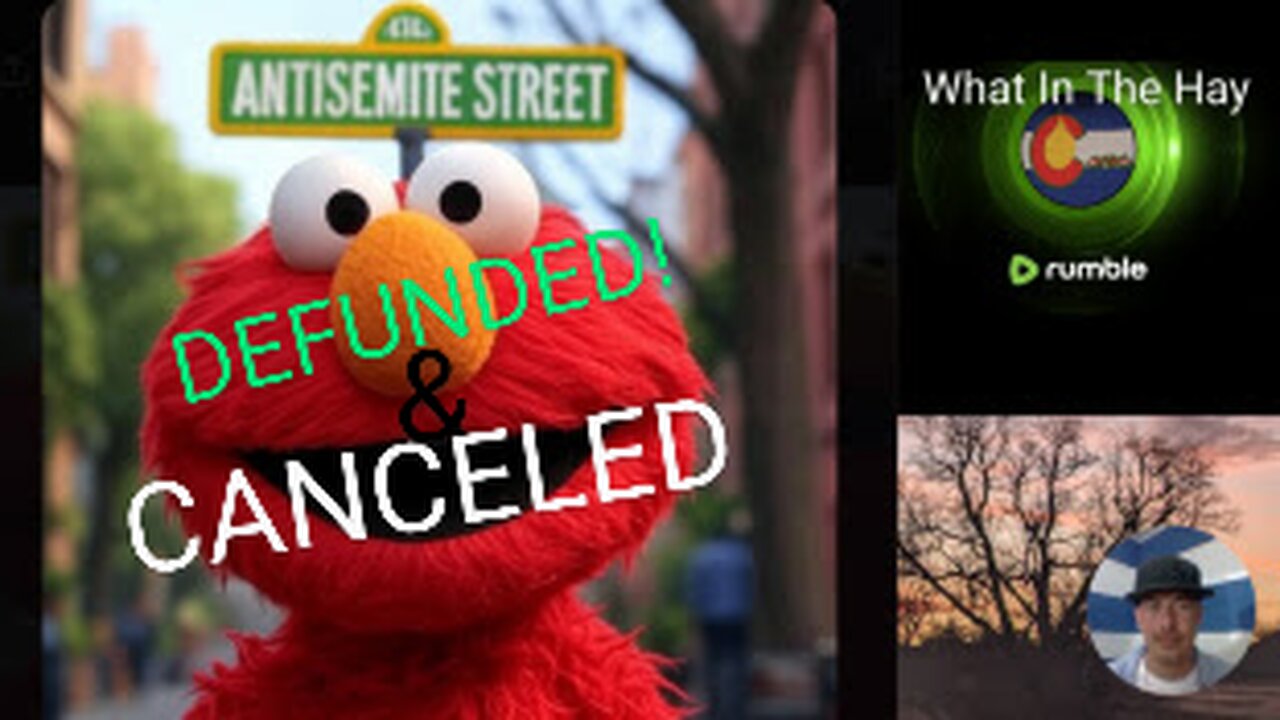 The END of PUBLIC MEDIA? PBS & NPR DEFUNDED