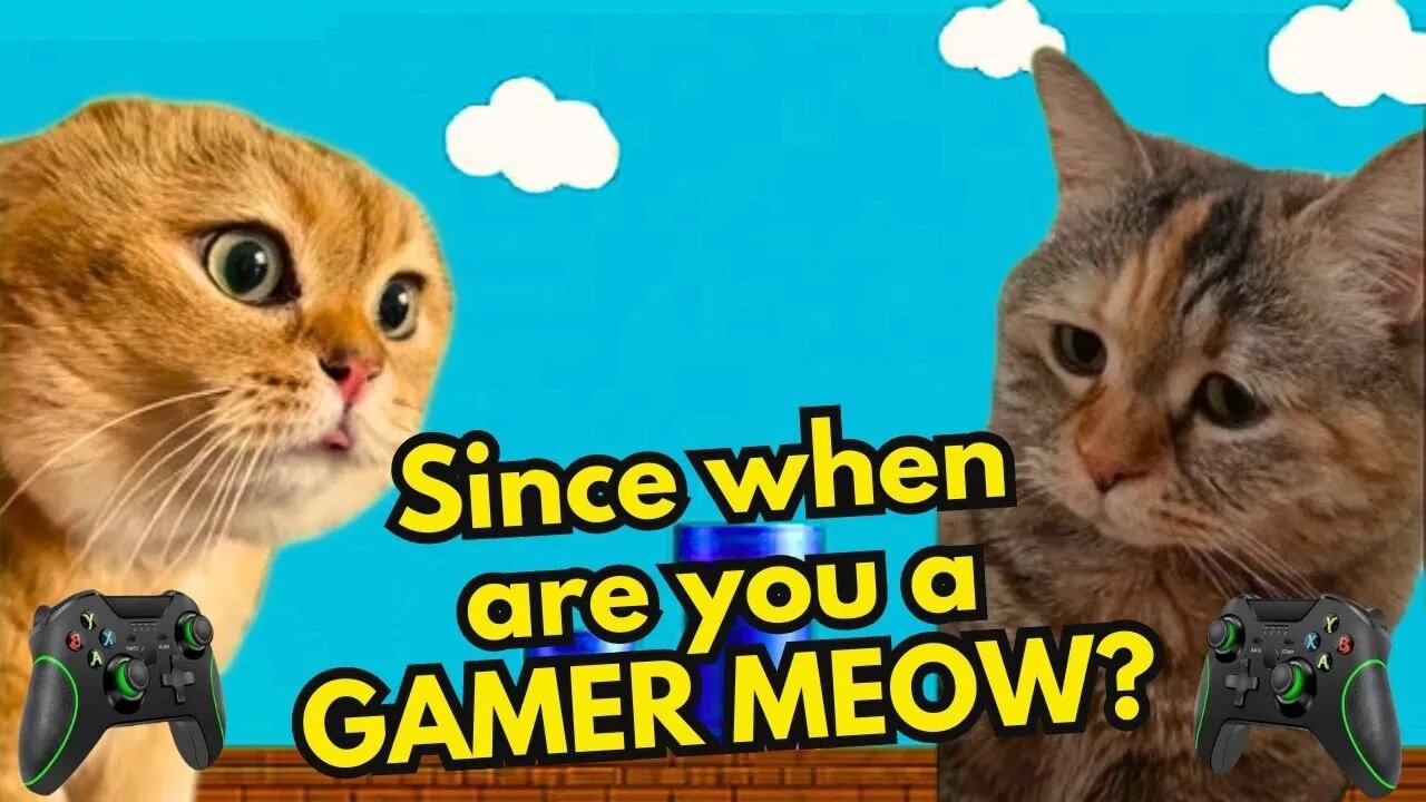 What Does a Cat Do When His Girlfriend Plays Videogame Better Than Him (Ep.31)