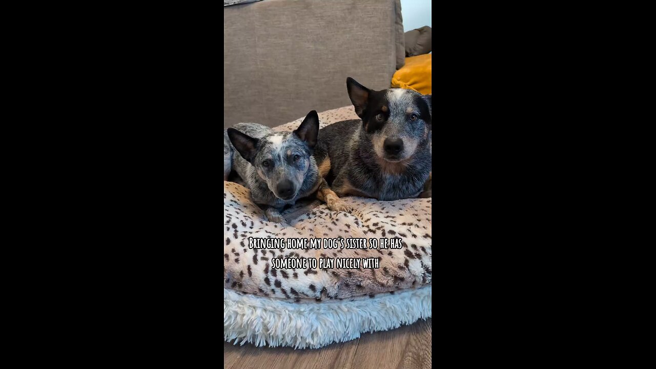 I swear they love each other!!
