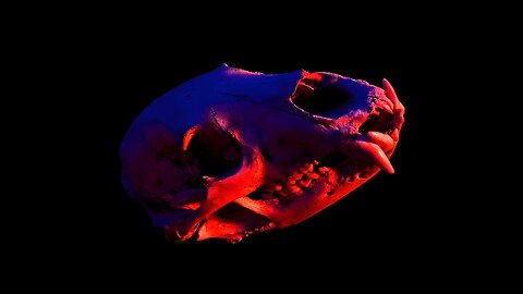 Kill Me Slowly (Single) by 5ynthWav3