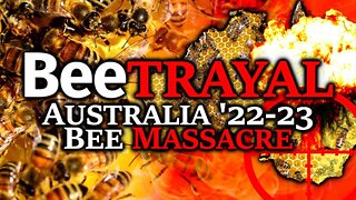 [Apr 23, 2023] The Great Australian Bee Massacre: Government KILLS 500 million Bees& POISONS Untold More In Wild [Tim Truth]