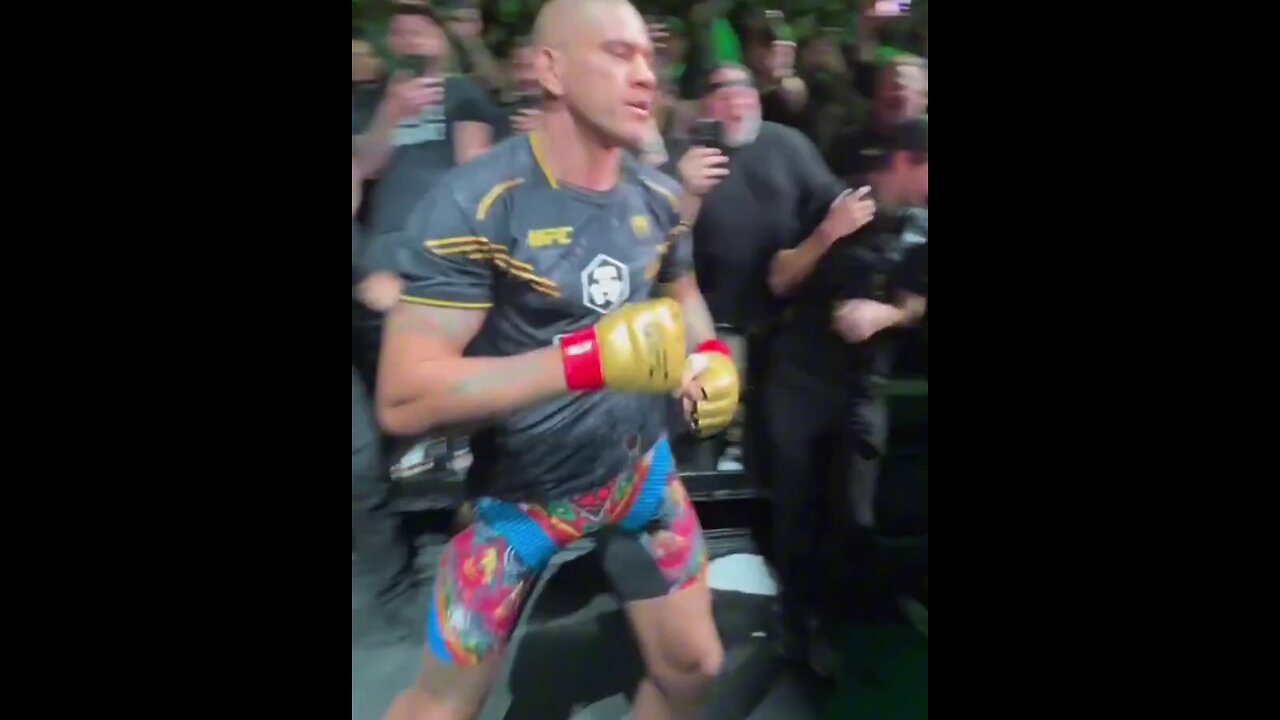 Indian H1B fighter💩🤡