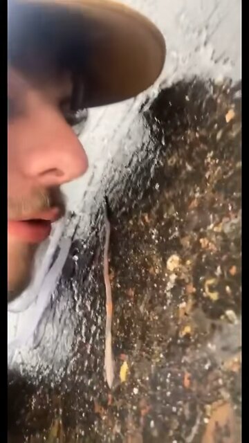 What are you doing in my drive way scum bag