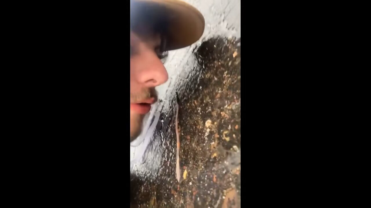 What are you doing in my drive way scum bag