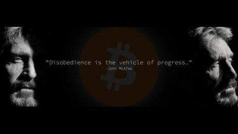 JOHN MᴄAFEE DISCUSSES ₪ JEFFREY EPSTEIN [PART 2]