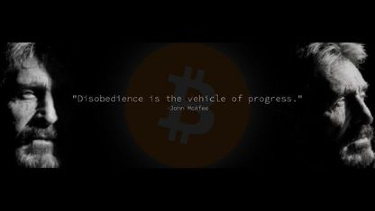 JOHN MᴄAFEE DISCUSSES ₪ JEFFREY EPSTEIN [PART 2]