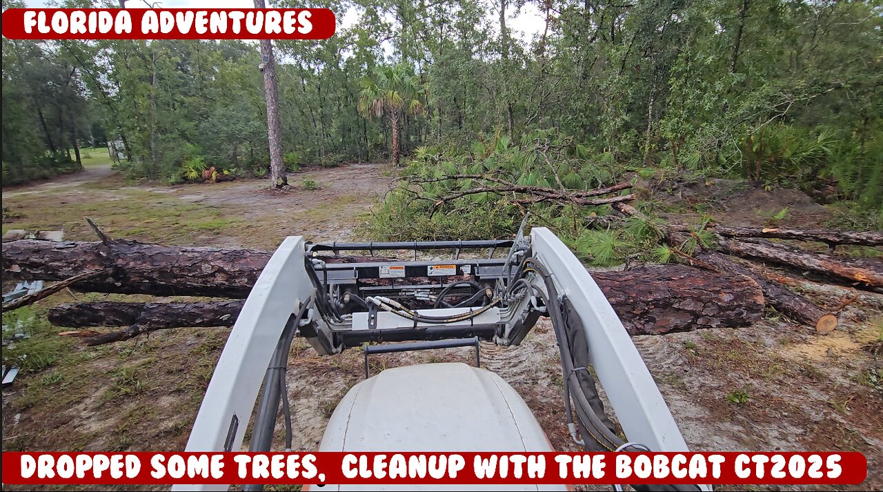 Dropped a few big trees, used the Bobcat CT2025 HST to help clean up, LOVE this thing