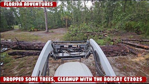 Dropped a few big trees, used the Bobcat CT2025 HST to help clean up, LOVE this thing