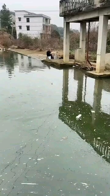 what on earth is happening 😭