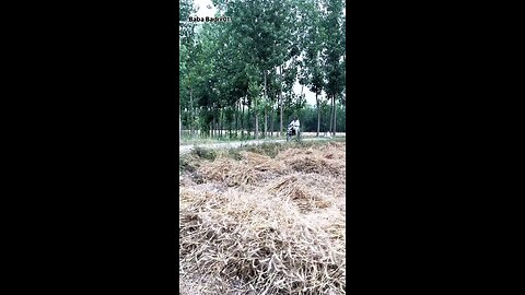 अजी कहा हो